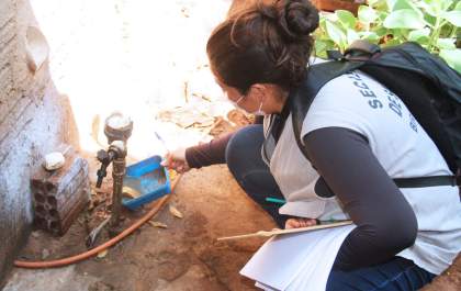 Mutirão de combate ao mosquito Aedes aegypti visita mais três bairros em Birigui