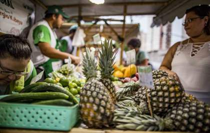 Programa Feira do Produtor Rural será realizado em Brejo Alegre e Piacatu