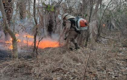 União declara estado de emergência ambiental em Mato Grosso do Sul
