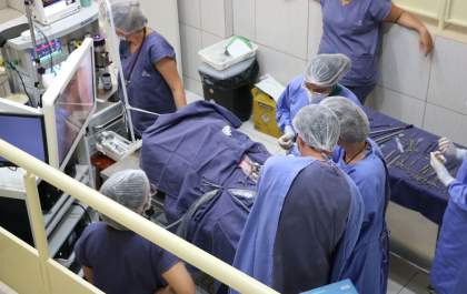Cachorrinha de Araçatuba é submetida à cirurgia com equipamento de última geração
