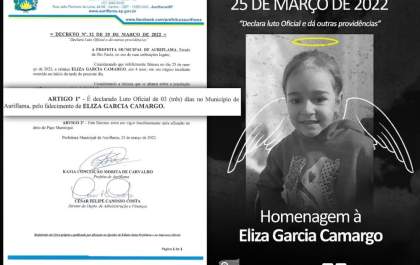 Menina de 4 anos morre ao ser atropelada por van escolar