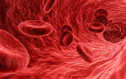 Microplásticos no sangue humano