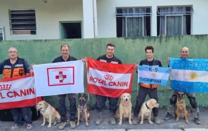 Cães de resgate: conheça mais sobre a atuação dos animais que ajudam os bombeiros em ações de busca