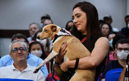Câmara concede voto de aplauso a shopping por adoção de cachorra