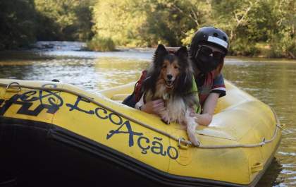 Guia Pet Friendly: bichinhos bem-vindos em 56 cidades