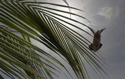 Semana de páscoa terá nova frente fria com chuvas e temperaturas amenas