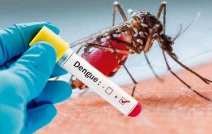 Boletim semanal apresenta queda de notificações de dengue em Três Lagoas