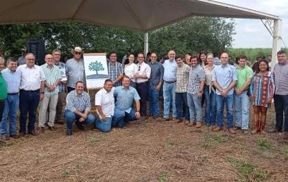 Fazenda de Araçatuba recebe plantio de 4 mil mudas de árvores