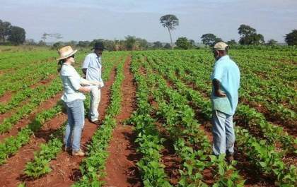 Aldeias indígenas de MS vão receber 137 toneladas de sementes do Estado