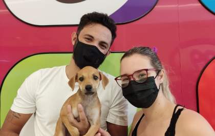 Clube Amigo dos Animais realiza feira de adoção neste sábado