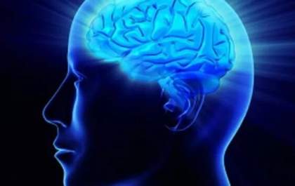 Estudo revela que desenvolver regiões relacionadas à inteligência do cérebro pode melhorar a saúde mental