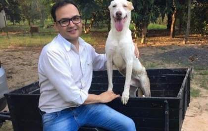 Ex-vereador e ativista da causa animal é condenado por furto de cachorros em Araçatuba