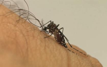 Idoso de 81 anos morre com dengue em Araçatuba