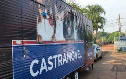 Novidade em Três Lagoas, castramóvel começa a castrar felinos fêmeas
