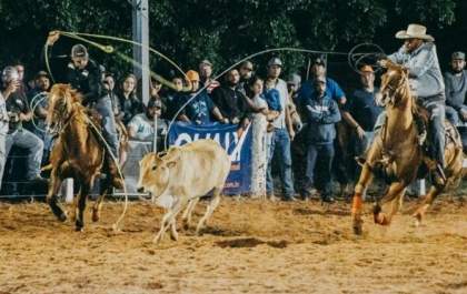 Andradinense sagra-se campeão no Future Team Roping