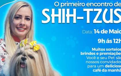 Primeiro Encontro de Shih-Tzus acontece em Araçatuba neste sábado