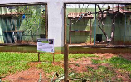 Araçatuba terá verba para criar Cidade da Criança e Ecozoológico