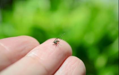 Saúde amplia ações contra a Dengue em Andradina