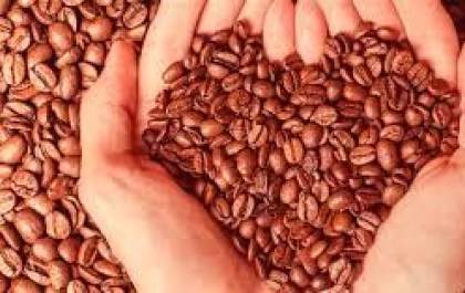 Castilho destina doações de café ao Hospital do Amor