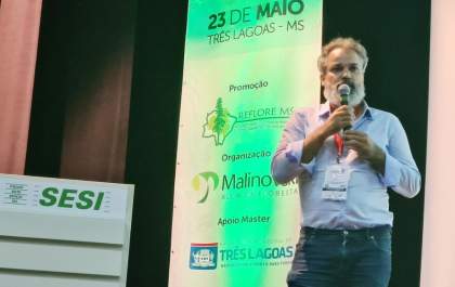Presidente da Vetorial fala sobre mercado do carvão em Congresso Florestal