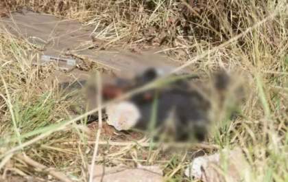 Corpo carbonizado é encontrado em anel viário no interior de MS