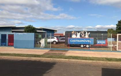 Castramóvel atenderá cães e gatos a partir desta segunda-feira (06)&nbsp;