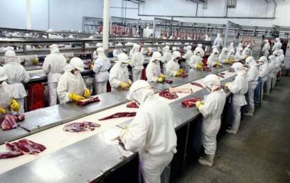 Indústria oferece 80 vagas de emprego, mas só 50 candidatos aparecem para entrevista