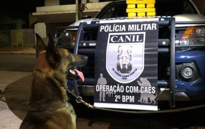 Canil da PM de Três Lagoas apreende 22 Kg de maconha em bagagem de passageiro de ônibus