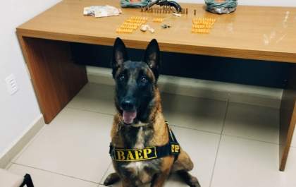 Homem é preso após cão encontrar cofre com droga oculto em parede
