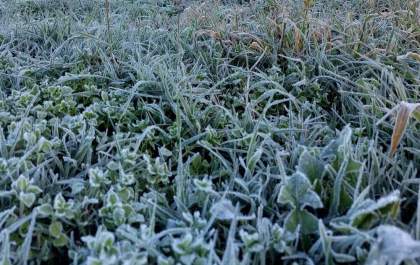 Frio intenso: próximos dias com geada no Sul e Sudeste