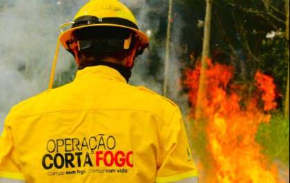 Governo de São Paulo investe mais de R$ 83 milhões para combater incêndios florestais