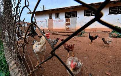 Comissão fará levantamento de centros comunitários e associações de bairros