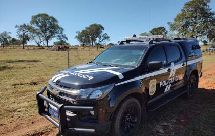 Polícia Civil recupera 13 cabeças de gados desviadas por funcionário de fazenda