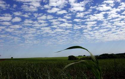 Sábado tem possibilidade de chuva em Mato Grosso do Sul, diz Cemtec