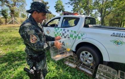 Em Andradina Polícia Ambiental multa em R$ 78 mil três pessoas por maus-tratos a animais