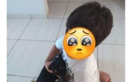 Família procura por filhote desaparecido