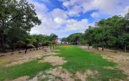 Mulher tem rancho invadido no Alto do Sucuriu em Três Lagoas