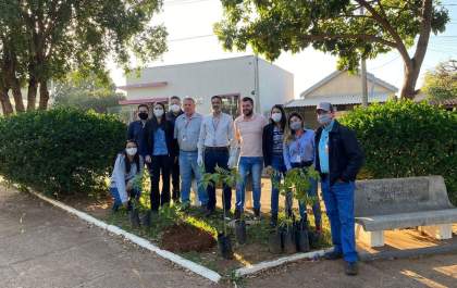 Raízen realiza plantio de 130 mudas de árvores em Valparaíso