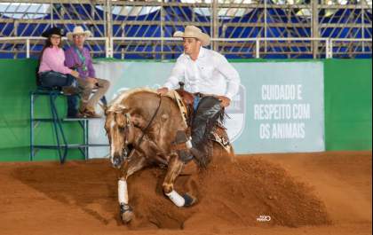 Campeonato Nacional do Quarto de Milha movimenta Araçatuba a partir desta quarta