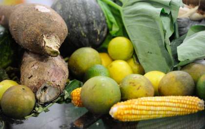 Guia do Ministério da Saúde traz dicas para alimentação de crianças