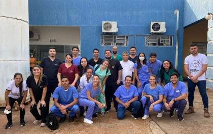 Alunos de Veterinária da FEA auxiliam na castração de animais em Castilho
