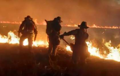 Bombeiros salvam sucuri em meio ao fogo que atinge Pantanal sul-mato-grossense