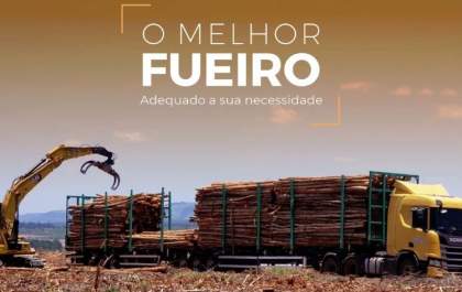 Exportado para 35 países, fueiro ExTe é o melhor do mundo