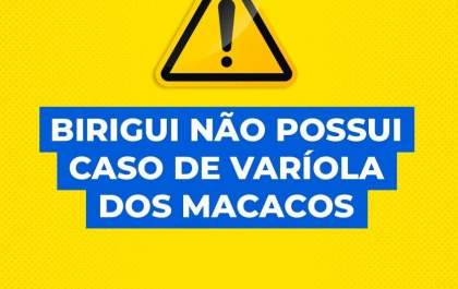 Região de Araçatuba segue sem caso de 'varíola dos macacos'