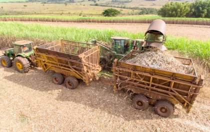 Clealco tem lucro líquido recorde de R$ 334,3 milhões na safra 21/22