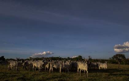 Plano ABC+ entra em vigor em setembro e vai reduzir emissão de carbono