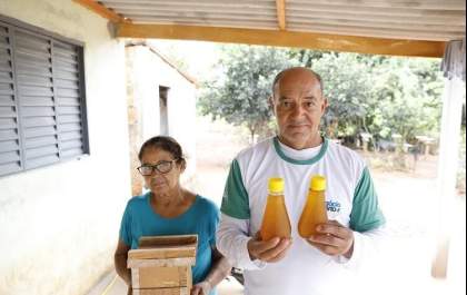 Produtores rurais de Brasilândia se profissionalizam com meliponicultura