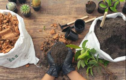 Sebrae Araçatuba oferece curso gratuito de jardineiro profissional