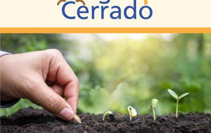 Rotary Costa Leste e SRTL distribuem mudas do Cerrado nesta quarta-feira (31)