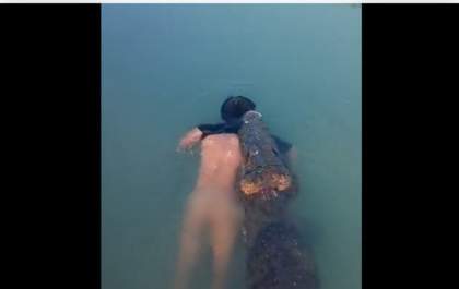 Crocodilo mata homem e nada no rio com o cadáver na boca